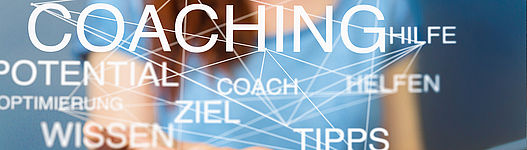 Coaching mit System